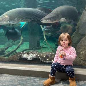 Meet your Posher, Denise